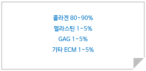 쥬브아셀 3% vs 8% 차이점 (3).png