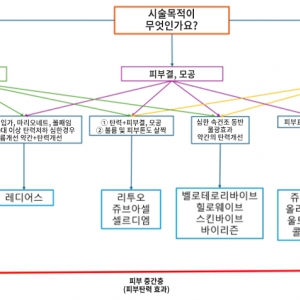 스킨부스터 선택 알고리즘 공개|리투오·쥬베룩볼륨·레디어스ㆍ리쥬란·힐로웨이브 차이
